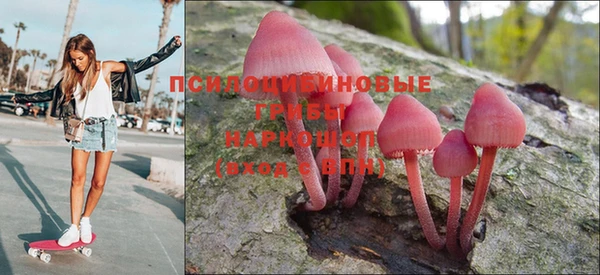 трава Заводоуковск