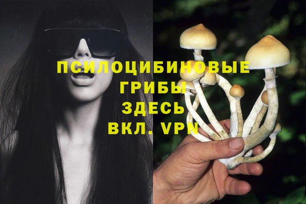 трава Заводоуковск