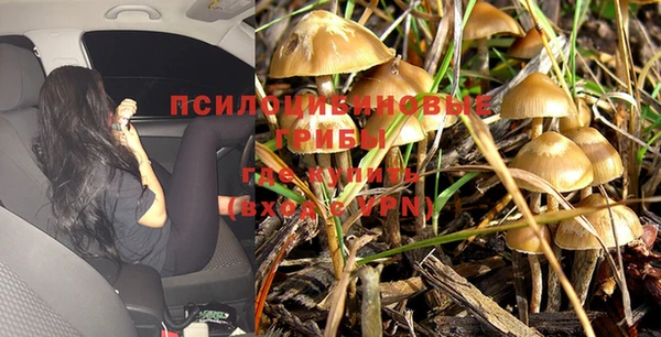 трава Заводоуковск